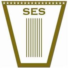 Senior Executive Service (SES) Resume Writing